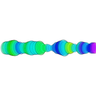 portfolio item